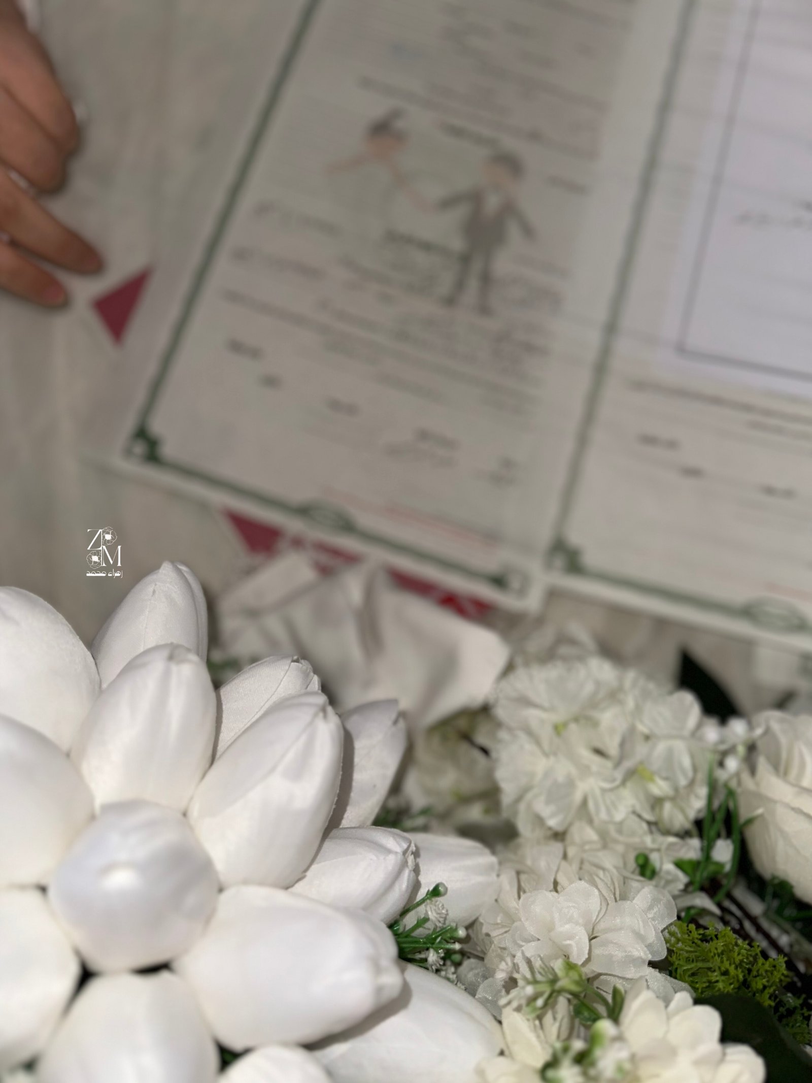 أعمال Zahraa Mohamed